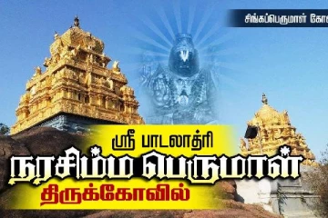 நரசிம்ம பெருமாள் கோயிலில் வைகாசி பெருவிழா