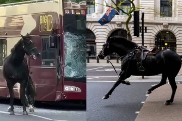 லண்டன் சாலையில் ரத்தம் சொட்ட பாய்ந்த குதிரைகள்... விளக்கமளித்த பிரித்தானிய இராணுவம்