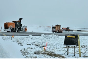 ரொறன்டோவில் பதிவான அதிக வாகன விபத்துக்கள்