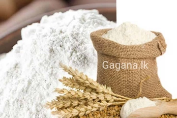 වහාම ක්‍රියාත්‍මක වන පරිදි තිරිඟු පිටි සම්බන්ධයෙන් විශේෂ තීරණයක් ගනී..