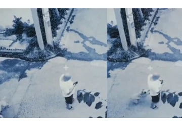 உரிமையாளரின் உயிரை காப்பாற்றிய நாய்... வைரலாகும் வீடியோ....!