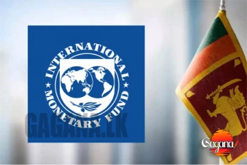 දැන් හරිනේ - IMF එකට ලංකාවෙන් වැරදි තොරතුරු දීලා - කාගේද වැරැද්ද?
