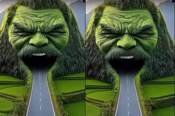 தனிமையில் இருப்பவர்களை இதை தான் செய்வார்களாம்.. படத்தை பார்த்தவுடன் முதலில் தெரிவது என்ன?