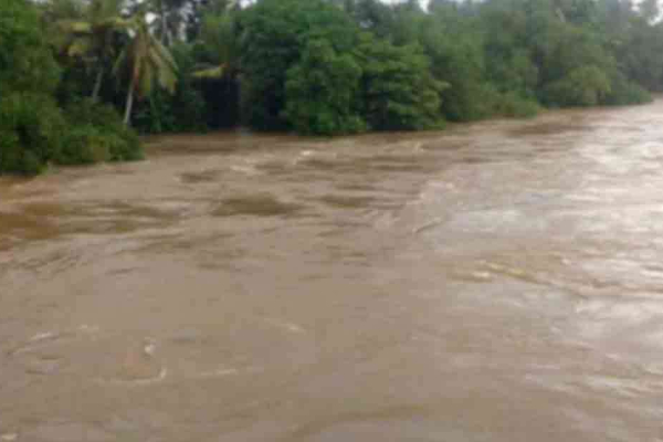 கொழும்பு, கொலன்னாவை, கடுவெல, சீதாவக்க மக்களுக்கு அவசர எச்சரிக்கை! | Warning People Of Colombo Kolonnawa Kaduwela கொழும்பு, கொலன்னாவை, கடுவெல, சீதாவக்க மக்களுக்கு அவசர எச்சரிக்கை! | Warning People Of Colombo Kolonnawa Kaduwela