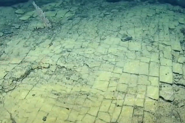 ஆழ்கடலில் சாலை - ஆராய்ச்சியாளர்கள் கண்டுபிடிப்பு - வைரலாகும் புகைப்படம் | Road In The Deep Sea