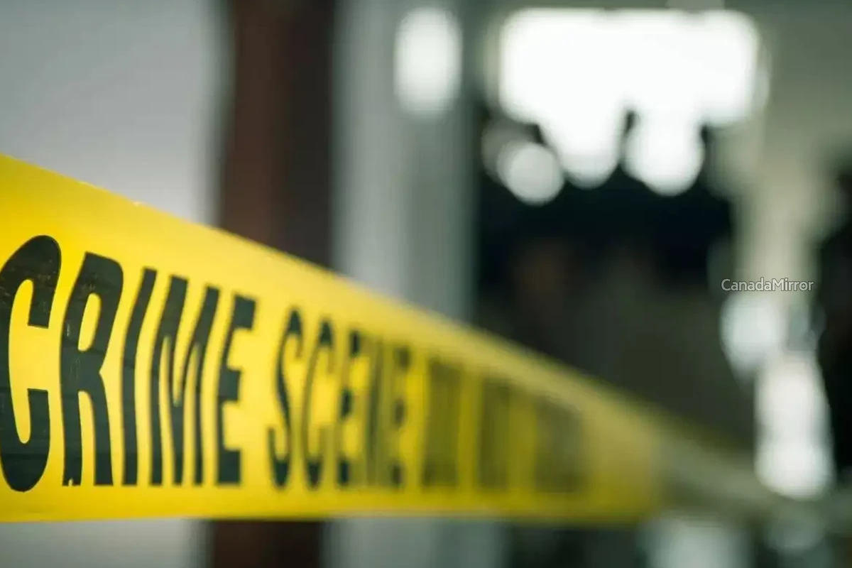 யாழில் மாமியை கொலை செய்த அரச உத்தியோகஸ்தர்! அரங்கேறிய சம்பவத்தால் அதிர்ச்சி | Government Employee Murders Aunt In Jaffna