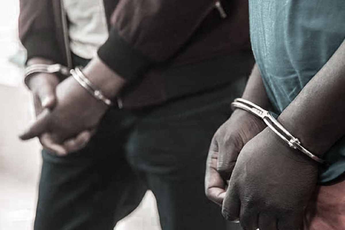 பூனையைத் துன்புறுத்திய இருவர் கைது | Two Arrested For Harassing A Cat