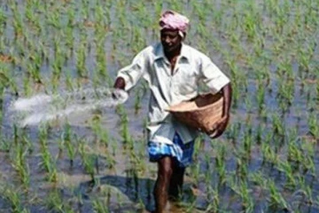 பாரிய அளவில் விலை குறைவடையவுள்ள யூரியா உரம் - விவசாயிகளுக்கு மகிழ்ச்சி தகவல்