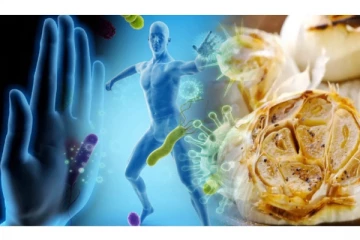 பூஞ்சை வைரஸ் தொற்றிலிருந்தும் விடுபட, நோய் எதிர்ப்பு சக்தி பெற வேண்டுமா? அப்போது தினமும் இதை சாப்பிட்டால் போதும்!