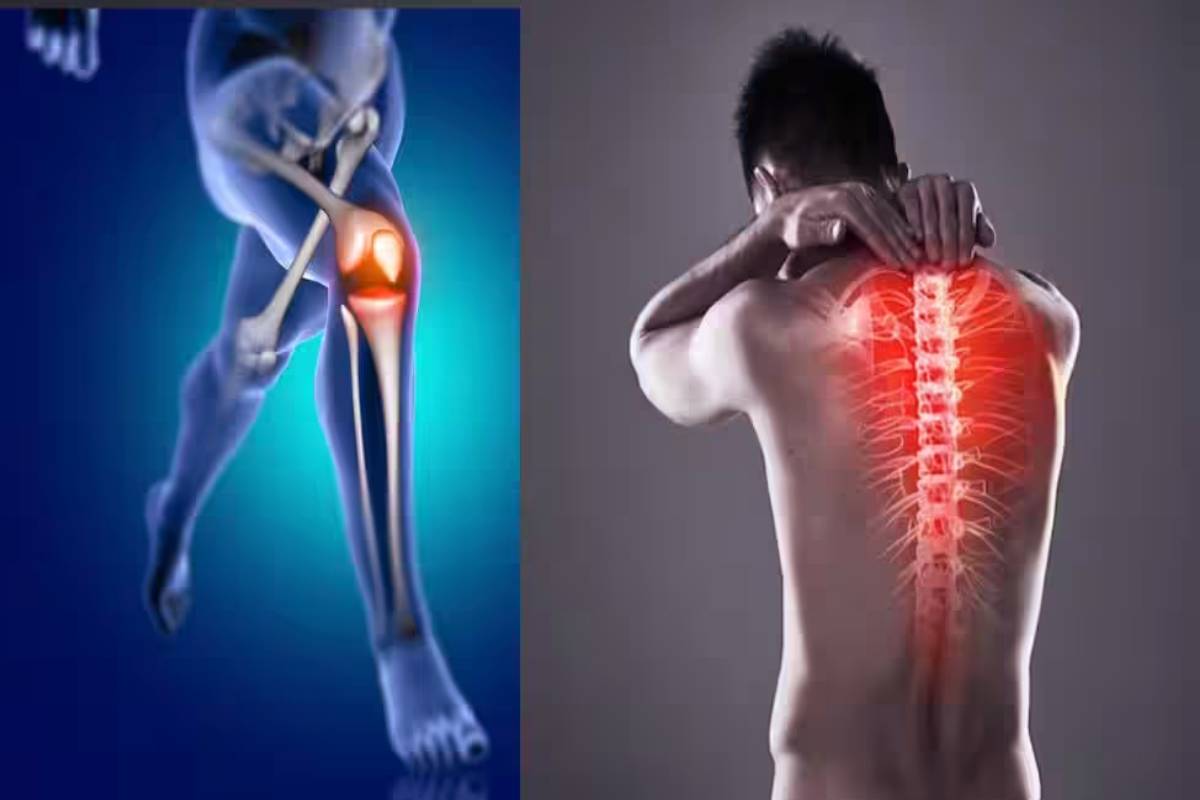 தாமரை விதைகளை பாலில் சேர்த்து சாப்பிட்டால் என்ன நன்மை? | Benefits Of Eating Makhana Foxnuts Mixed With Milk