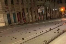 இத்தாலியில் கொத்து கொத்தாக செத்து மடிந்த பறவைகள்: காரணம் என்ன தெரியுமா?