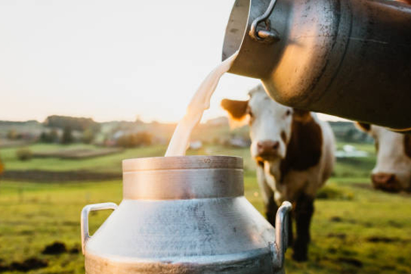 கிளிநொச்சி மக்களுக்கு அவசர அறிவிப்பு! | Urgent Notice People Of Kilinochchi Ban Milk