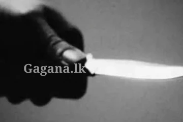 ඉහවහා ගිය කෝපය නිසා සැමියෙක් බිරිඳගේ කකුල වෙන් වෙන්න කපලා.