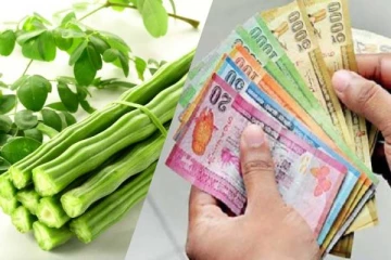 முருங்கைக்காயின் விலை 3 ஆயிரம் ரூபா