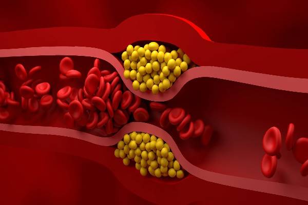 தினமும் ஒரு கொய்யா பழம் சாப்பிடுவதால் என்னென்ன நன்மை கிடைக்கும் தெரியுமா? | Benefits You Get From Eating Guava Fruit Every Day தினமும் ஒரு கொய்யா பழம் சாப்பிடுவதால் என்னென்ன நன்மை கிடைக்கும் தெரியுமா? | Benefits You Get From Eating Guava Fruit Every Day