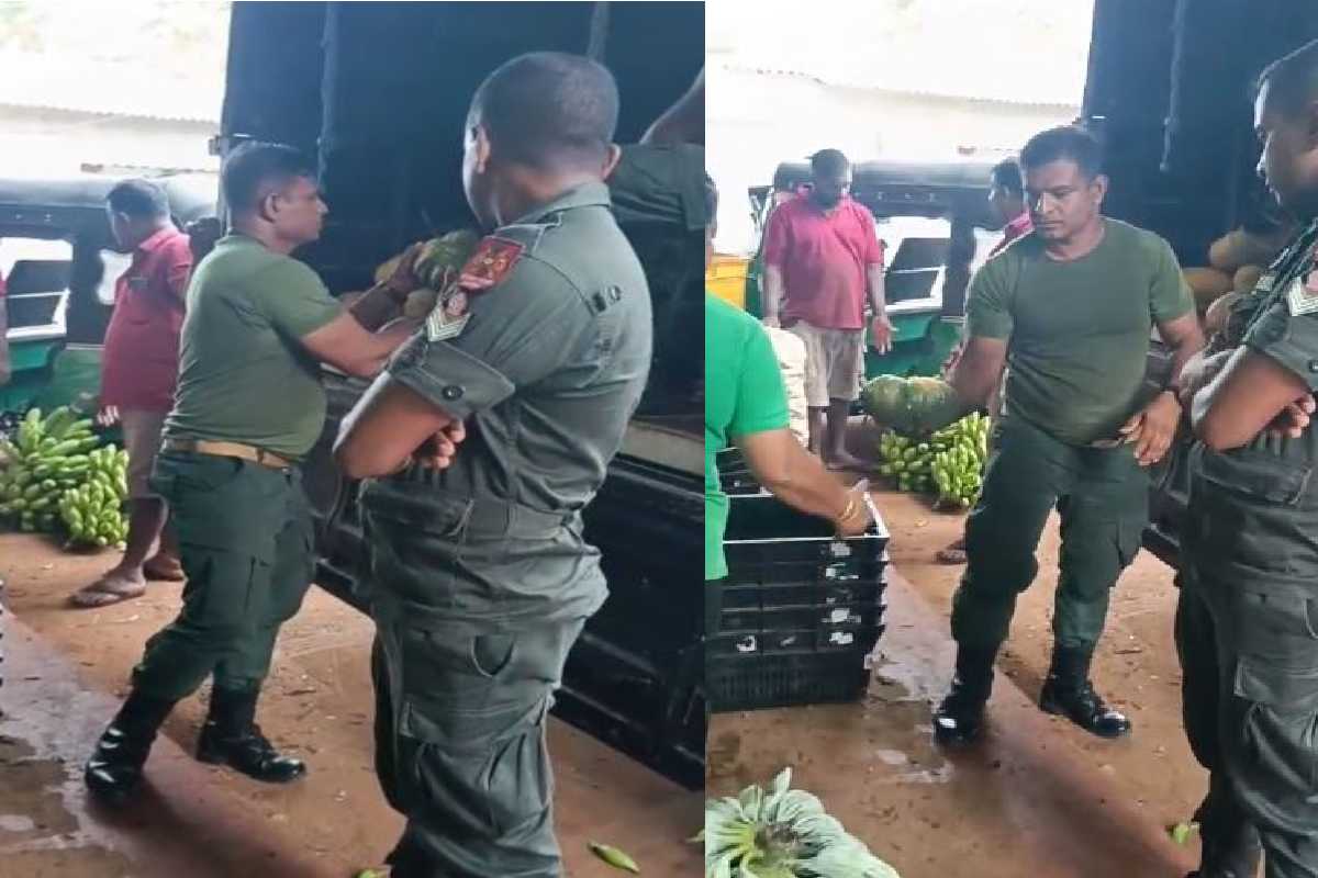 யாழில் இராணுவம் மரக்கறிகளை விற்பனை செய்வது நிரூபணம் : பாதுகாப்பு பிரதியமைச்சரின் பொய் அம்பலம் | Army Agriculture In Jaffna Selling Vegetables