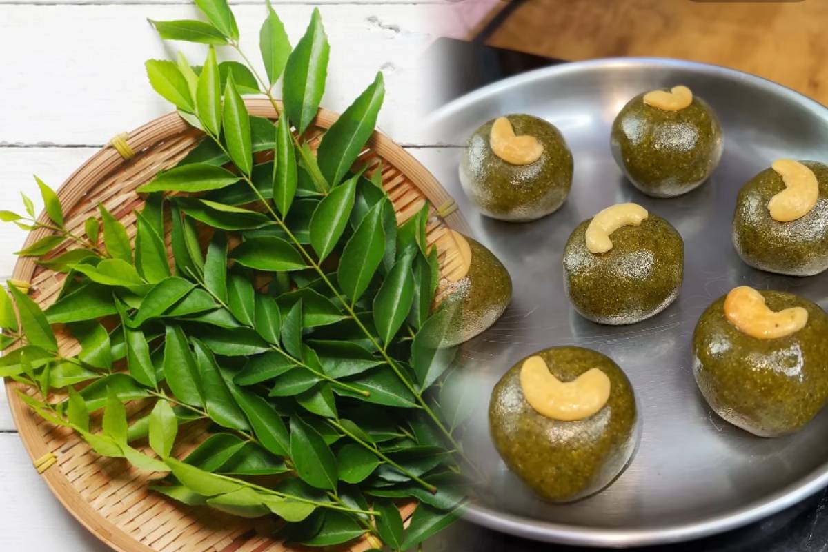 முடி வளர்ச்சியை அதிகரிக்க உதவும் கறிவேப்பிலை லட்டு.., எப்படி செய்வது? | Curry Leaf Laddu Recipe In Tamil