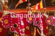 දළඳා පෙරහැර නරඹන්නන්ගෙන් ඉල්ලීමක්...