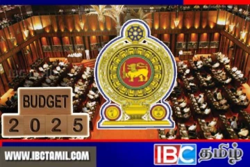 புதிய அரசின் இடைக்கால வரவு செலவுத்திட்டம் குறித்து வெளியான தகவல்