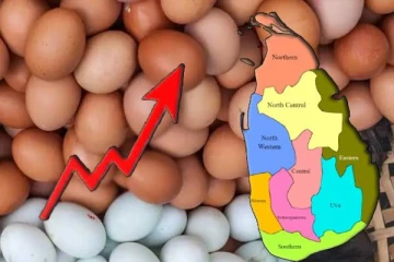பண்டிகைக் காலத்தில் அதிகரித்துள்ள முட்டை விலை