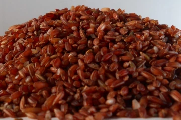 ஆண்கள் மாப்பிள்ளை சம்பா சாப்பிட்டால் என்ன நடக்கும்? ஒரே மாதத்தில் அந்த பிரச்சினைக்கு தீர்வு