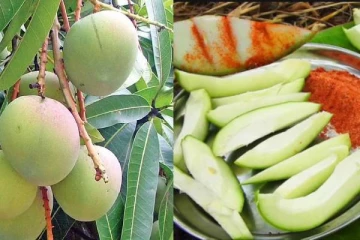 மாங்காய் சாப்பிடுவதால் இத்தனை நன்மைகள் கிடைக்குமா! இதய நோய் கூட வராது