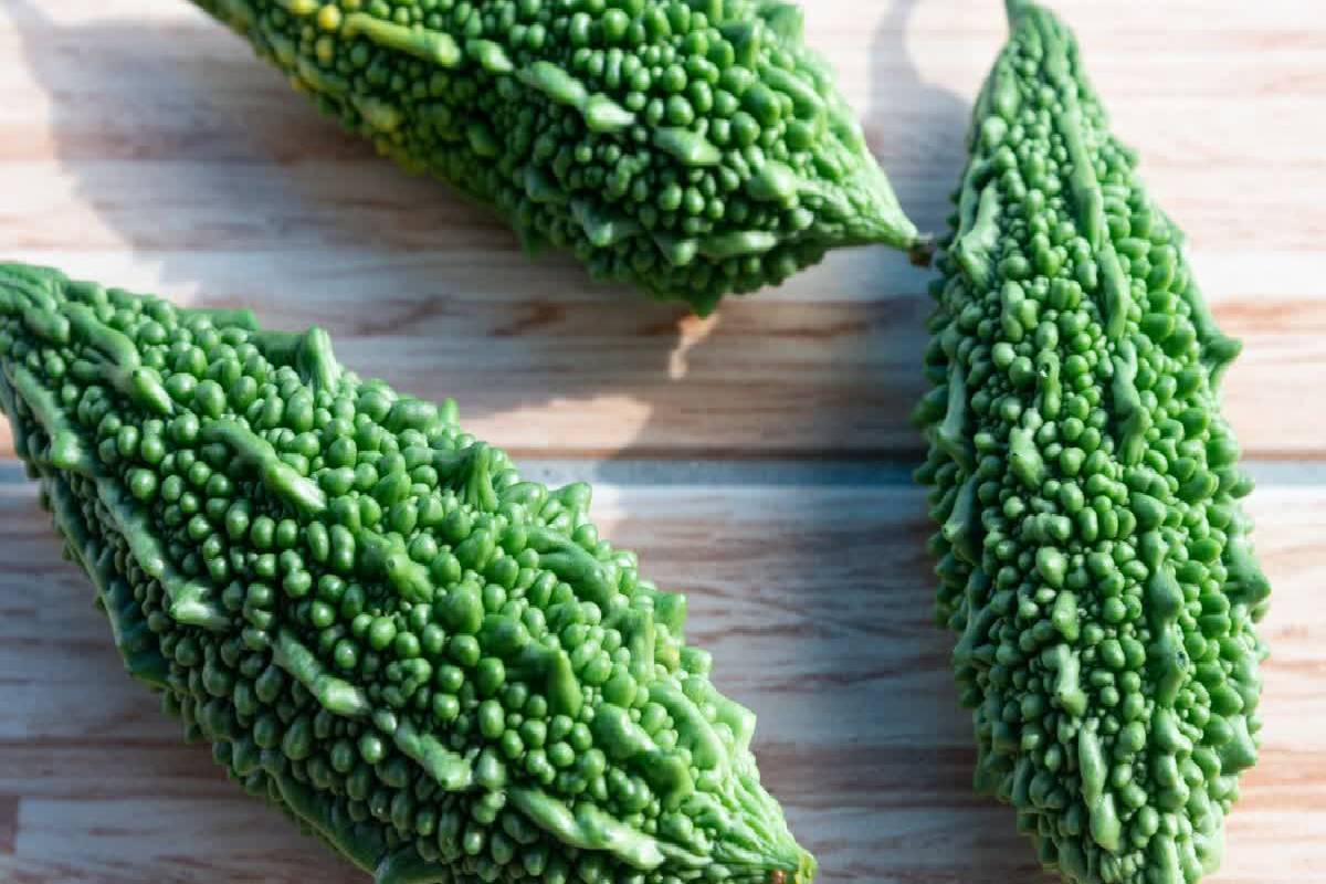 நீரிழிவு நோயாளிகள் பாகற்காயை எப்படி சாப்பிடுவது? | How Should Diabetics Eat Bitter Gourd