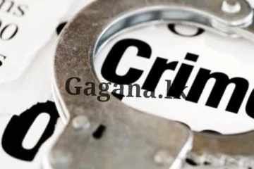 මිත්තනියගේ හිස බිම ඇන ඝාතනය කළ මුණුබුරා.