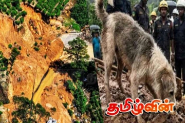 மாத்தளையில் பெரும் சோகம் - ஒரே குடும்பத்தை சேர்ந்த 7 பேரின் சடலங்களை மீட்க உதவிய நாய்