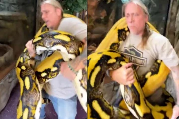 மனிதரை நெருக்கிய ராட்சத மலைப்பாம்பு! வைரலாகும் பகீர் காட்சி