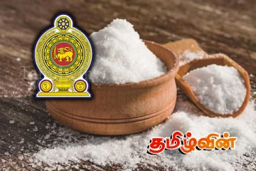 உப்பு இறக்குமதி தொடர்பில் வெளியாகியுள்ள தகவல்