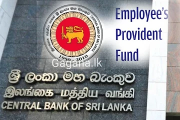 සේවක අර්ථසාධක අරමුදල සම්බන්ධයෙන් මහ බැංකු නව ස්ථාවරය මෙන්න..