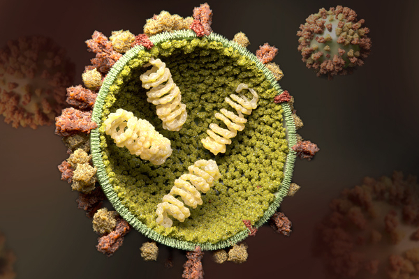 இலங்கையில் பரவும் இன்ஃப்ளூயன்சா A வைரஸ் அறிகுறிகள் - இதுவரை 14 பேர் உயிரிழப்பு | Symptoms Of Influenza A Virus Sri Lanka