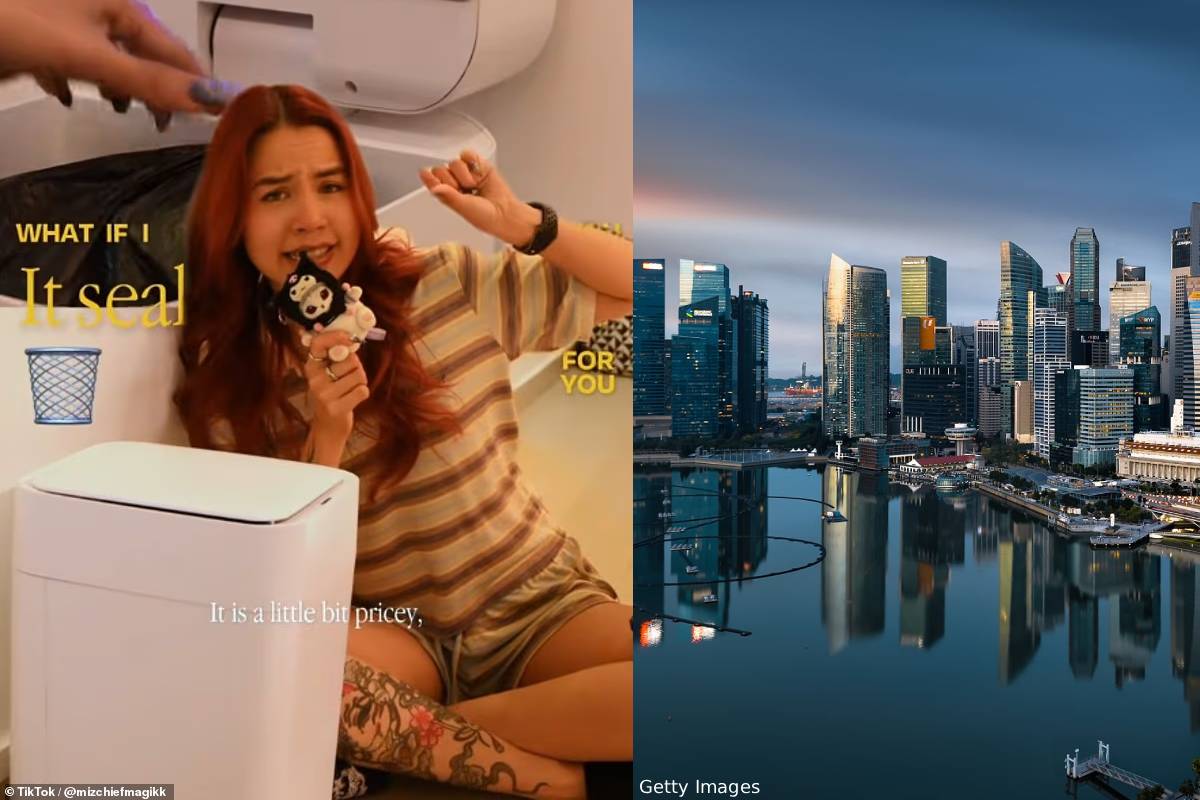 Reason behind Singapore cleanes country in the world Reason behind Singapore cleanes country in the world