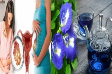 ஒட்டுமொத்த நோய்களுக்கும் அருமருந்தாகும் சங்குப்பூ... இவ்வளவு நன்மைகள் இருக்கா?