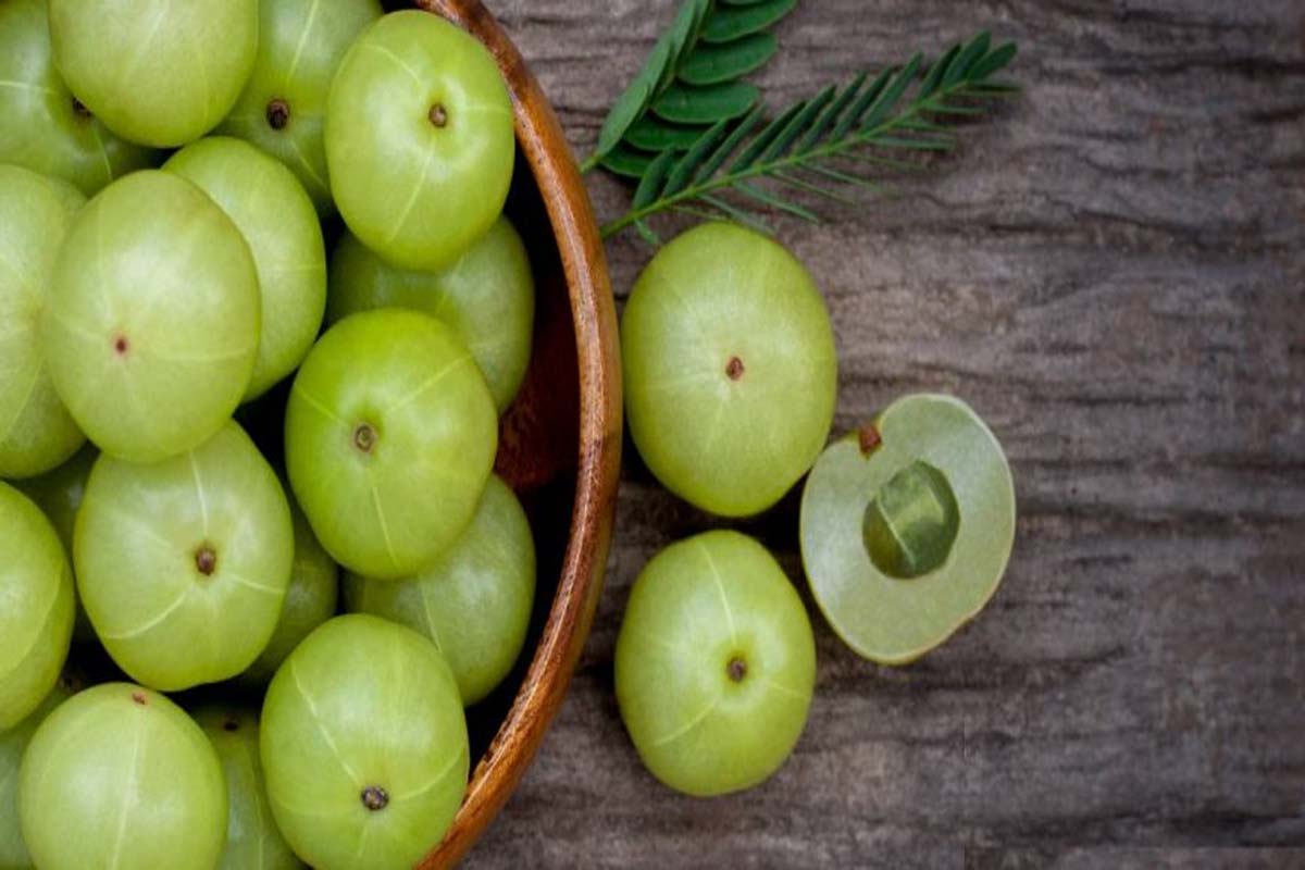 வேக வைத்த நெல்லிக்காய் தினமும் 1 சாப்பிடுங்க... உடலில் நடக்கும் மாற்றங்கள் | Benefits Of Eating Streamed Amla One A Day வேக வைத்த நெல்லிக்காய் தினமும் 1 சாப்பிடுங்க... உடலில் நடக்கும் மாற்றங்கள் | Benefits Of Eating Streamed Amla One A Day