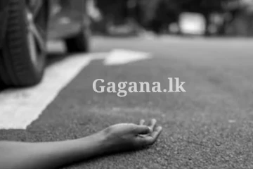 15ක් මිය ගිය බිහිසුණු රිය අනතුර. (විදෙස්)