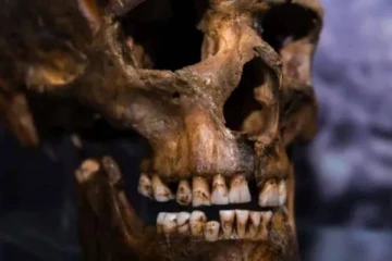 மிருகம் பாதி.. மனிதன் பாதி.. புதிய இனத்தால் மிரண்ட விஞ்ஞானிகள்!