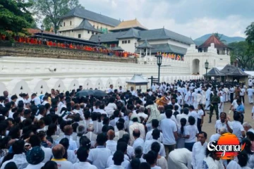 සිරි දළදා වන්දනාව - සැදැහැවතුන්ගේ සෞඛ්‍ය ආරක්ෂාව සඳහා උපදෙස්