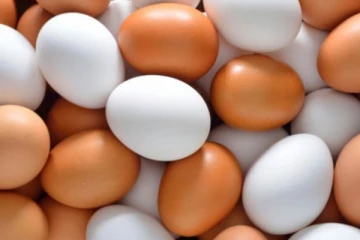 முட்டைக்கான புதிய விலை இதோ; நீதிமன்றம் தடை!