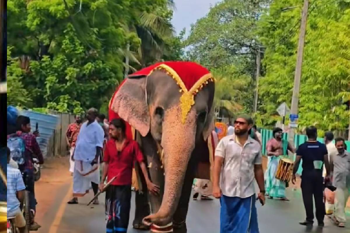 ஒரு பூப்புனித நீராட்டு விழாவும் ஒருங்கிணைப்புக் குழுக் கூட்டமும் | Puberty Ceremony Coordination Committee Meeting ஒரு பூப்புனித நீராட்டு விழாவும் ஒருங்கிணைப்புக் குழுக் கூட்டமும் | Puberty Ceremony Coordination Committee Meeting
