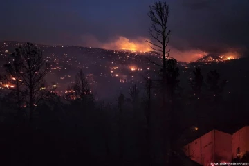 நியூ மெக்சிகோ மாகாணத்தில் வேகமாக பரவும் காட்டுத்தீ!