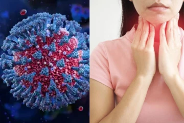 22க்கும் மேற்பட்ட நாடுகளில் பரவிவரும் சிக்காடா வைரஸ் - அறிகுறிகள் என்ன?