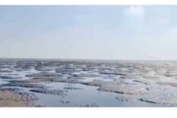 2 கிலோ மீட்டர் தூரம் உள் வாங்கிய கடல் : மக்கள் பெரும் அதிர்ச்சி!