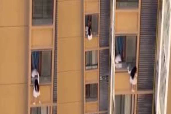 காதலனுடன் உல்லாசம்; திடீரென வந்த மனைவி - 10வது மாடி பால்கனியில் தொங்கிய காதலி | China Viral Video Woman Hangs From 10Th Floor காதலனுடன் உல்லாசம்; திடீரென வந்த மனைவி - 10வது மாடி பால்கனியில் தொங்கிய காதலி | China Viral Video Woman Hangs From 10Th Floor