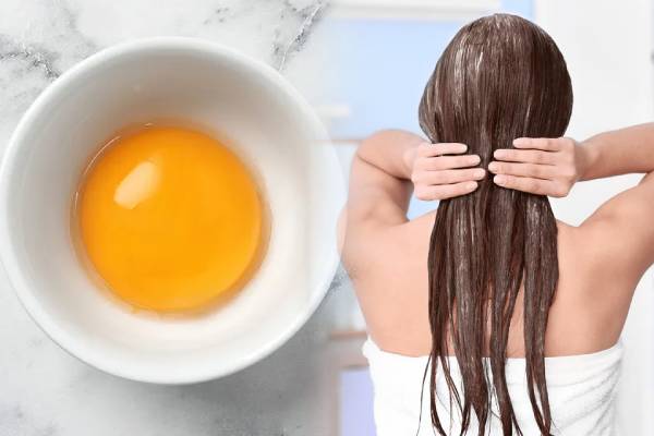 முடியை அடர்தியாக்க உதவும் முட்டை.., எப்படி பயன்படுத்துவது? | Home Made Egg Hair Pack For Hair Growth முடியை அடர்தியாக்க உதவும் முட்டை.., எப்படி பயன்படுத்துவது? | Home Made Egg Hair Pack For Hair Growth