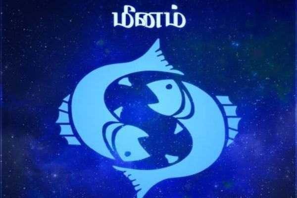 சூரியன் பெயர்ச்சியால் திடீரென அதிர்ஷ்டத்தை பெறப்போகும் மூன்று ராசிக்காரர்கள்! | Suriyan Peyarchi Budhaditya Yogam 3 Zodiac Signs