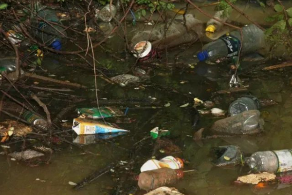 வேகமாக மாசடைந்து வரும் கிளிநொச்சி குளம்: குவியும் முறைப்பாடுகள் | Kilinochchi Pond Getting Polluted Fast Complaints