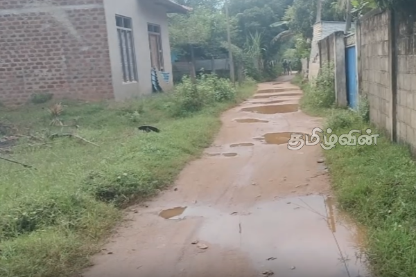 20 வருடங்களாக புனரமைக்கப்படாத வீதி.. கடும் சிரமத்தில் மக்கள் | Kanthalai Peraru Road Damaged Faced By The People