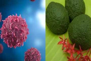 புற்றுநோய் வரமால் இருக்கணுமா! வேப்பிலை உருண்டை சாப்பிட்டாலே போதும்